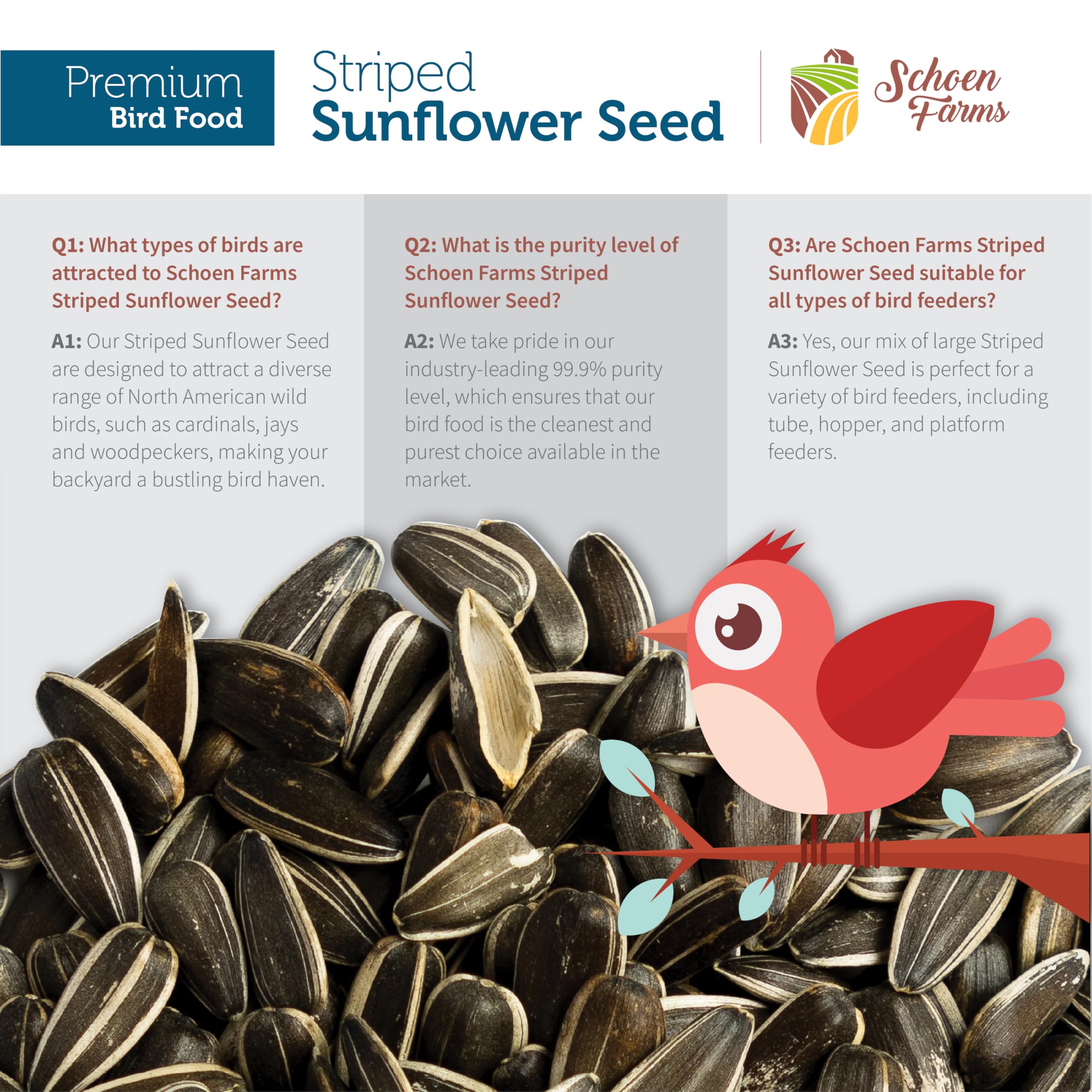 Schoen Farms cardinal feeding on striped sunflower seed up close