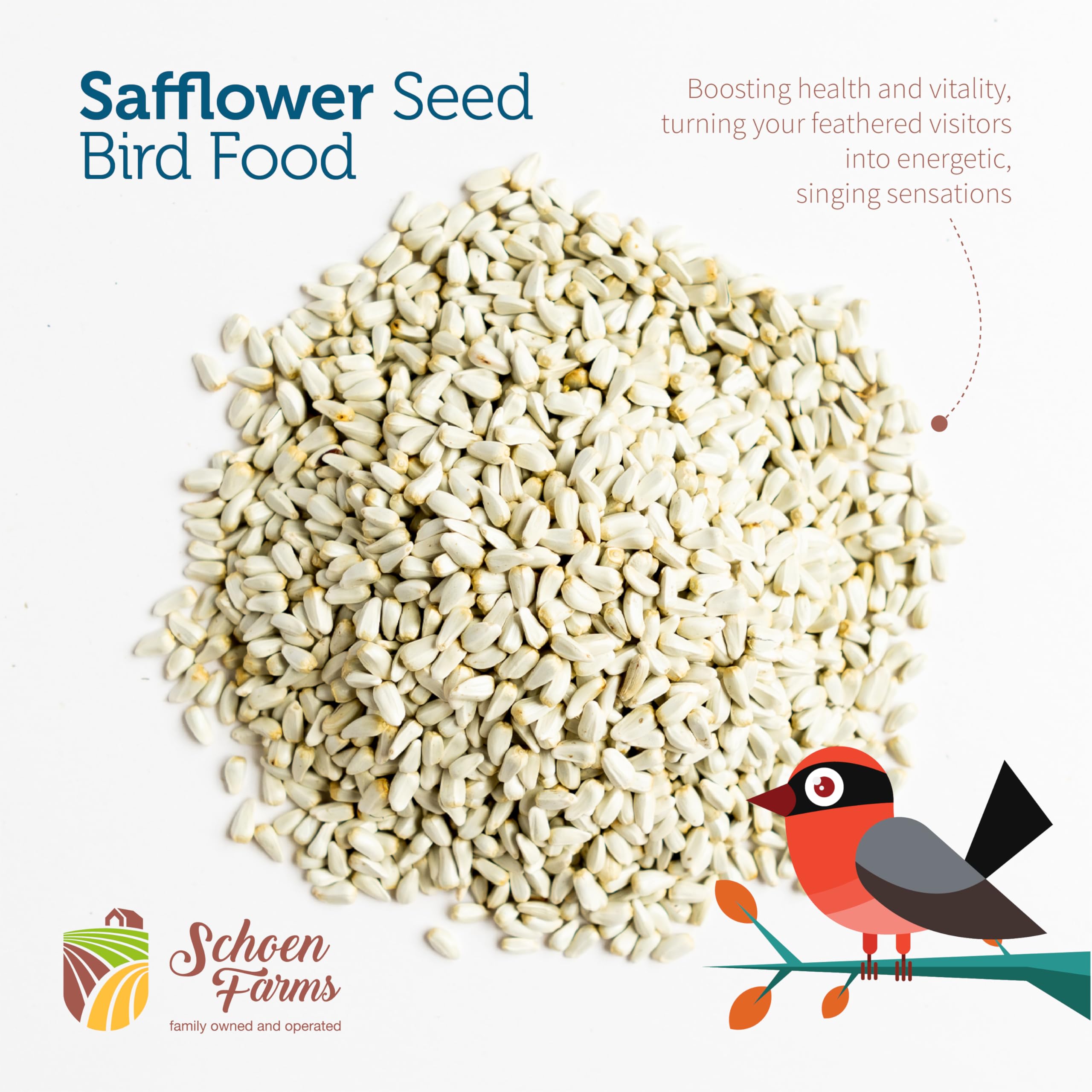 Schoen Farms cardinal eating safflower seed showing vibrant bird attraction