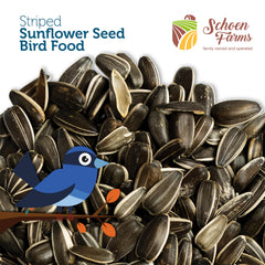 Schoen Farms seeds on platform feeder showing easy access for birds