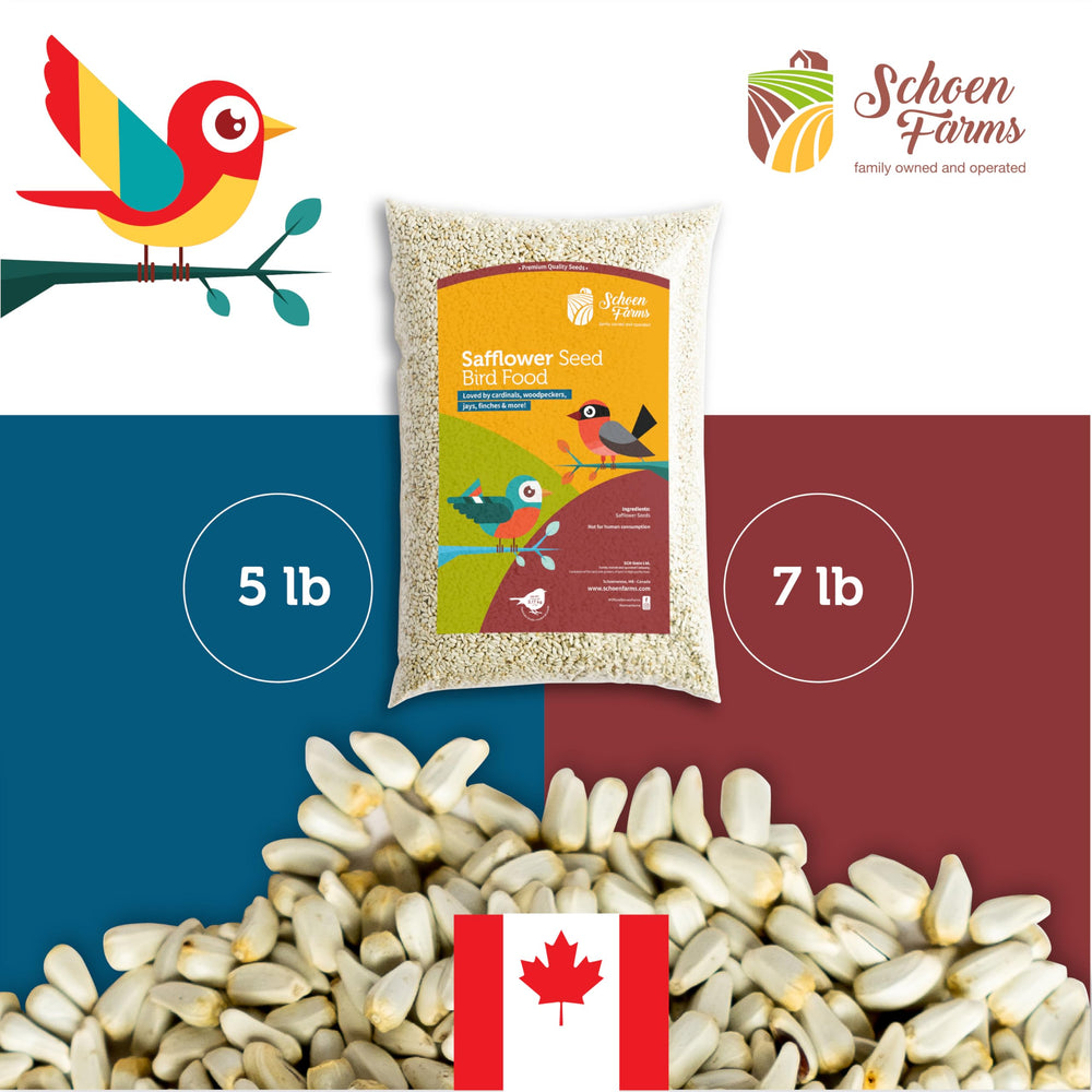 Schoen Farms pouring seed from bag demonstrating easy measuring and filling