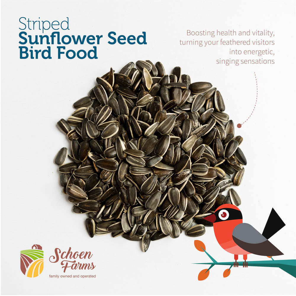 Schoen Farms seeds pouring into a hopper feeder attracting large birds