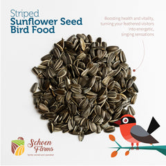 Schoen Farms seeds pouring into a hopper feeder attracting large birds