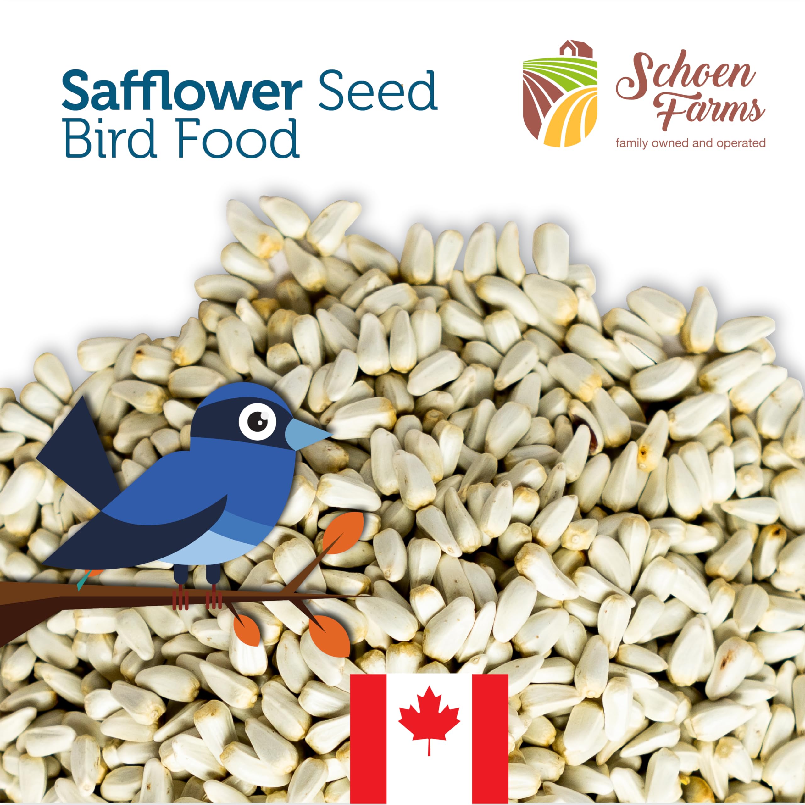 Schoen Farms tube feeder filled with safflower seed promoting tidy dispensing