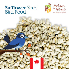 Schoen Farms tube feeder filled with safflower seed promoting tidy dispensing