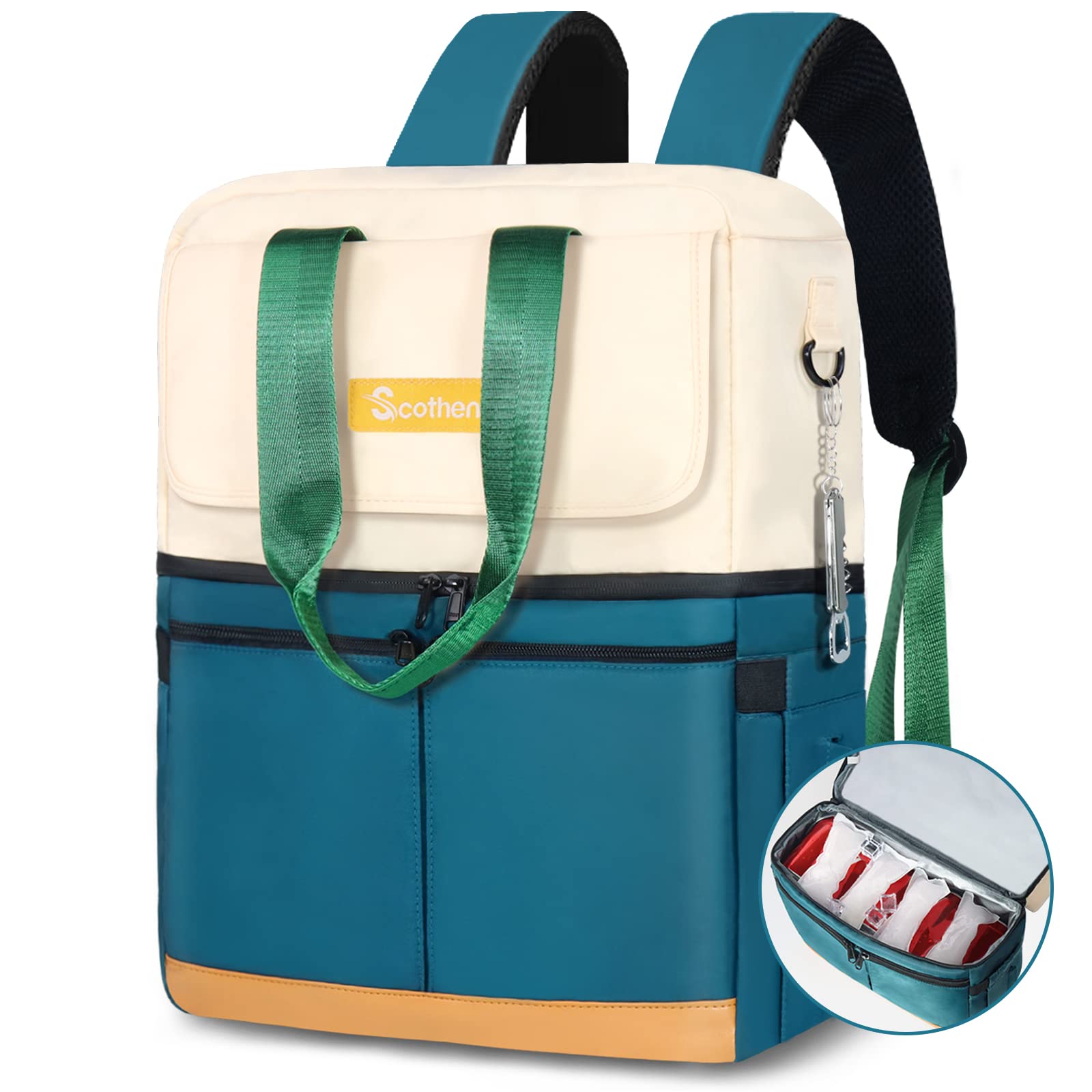Scothen front view cooler backpack showing capacity and style, ideal for outings