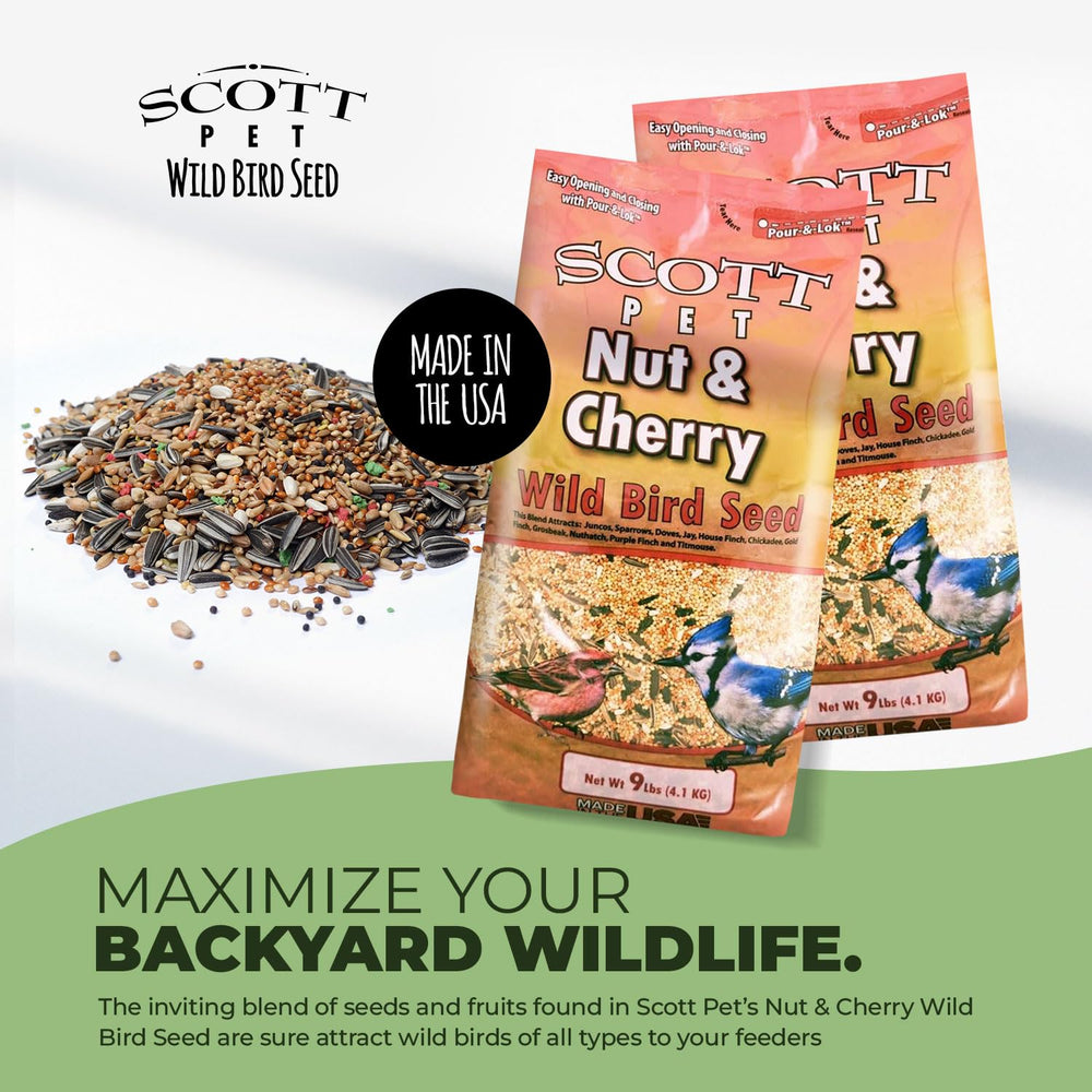 Scott Pet mix in a hopper feeder attracting colorful backyard birds easily