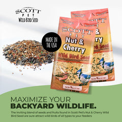 Scott Pet mix in a hopper feeder attracting colorful backyard birds easily