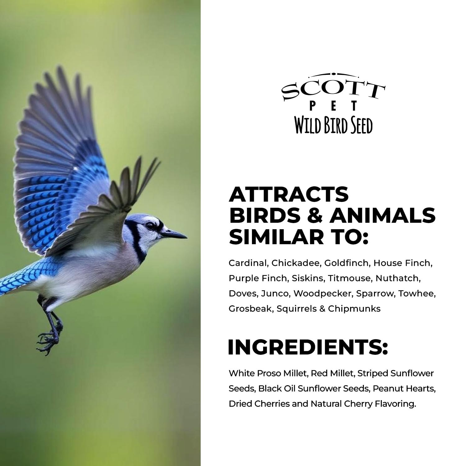 Scott Pet Pour & Lok resealable bag detail preserving freshness and convenience