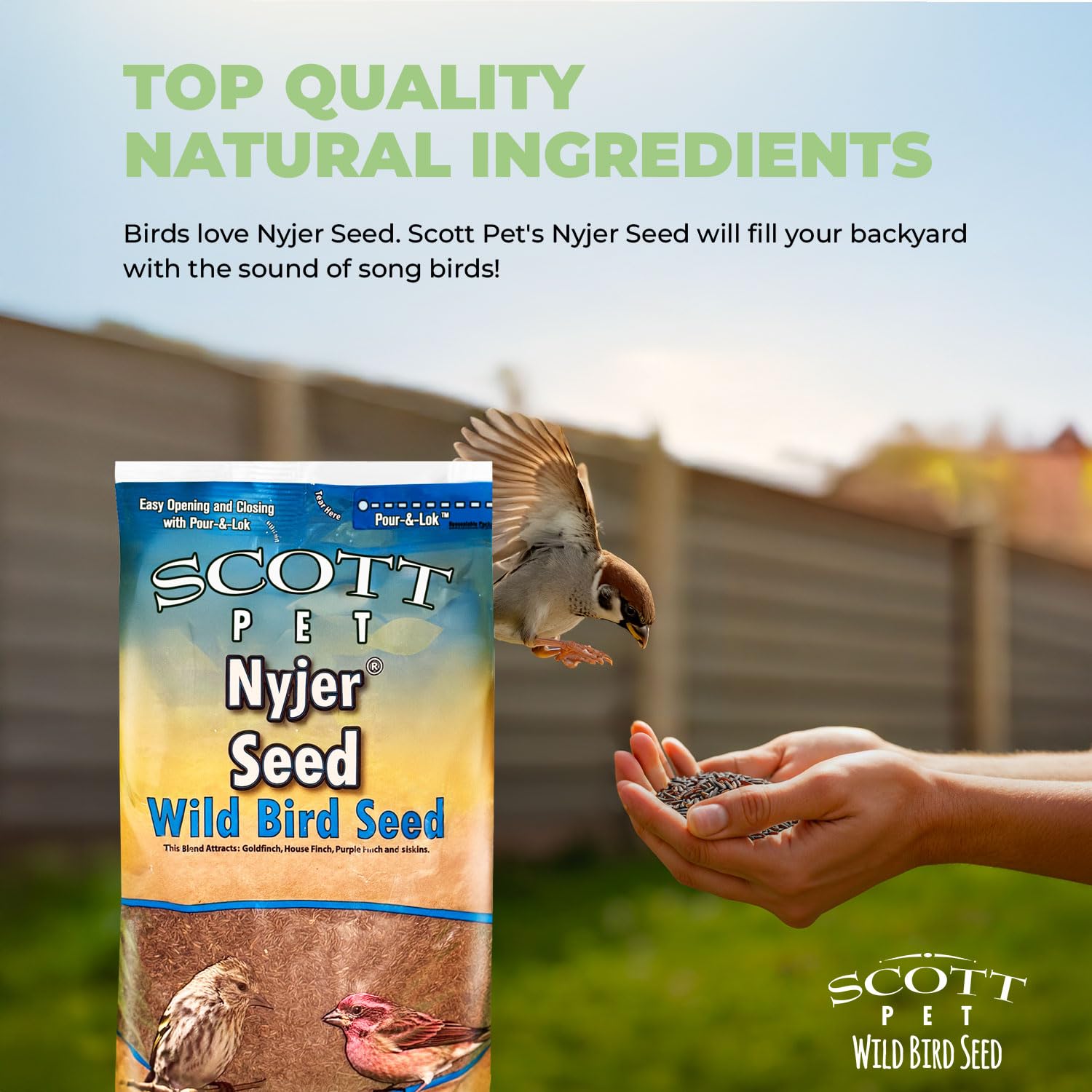 Scott Pet nyjer in sock feeder showing visible feeding activity