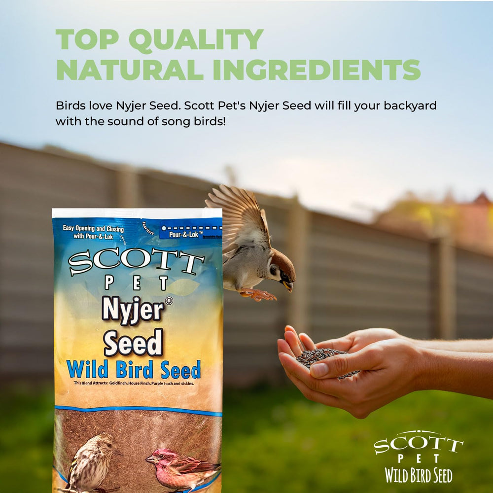 Scott Pet nyjer in sock feeder showing visible feeding activity