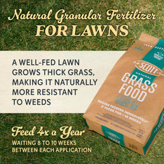 Scotts close-up of granules showing texture and slow-release benefit