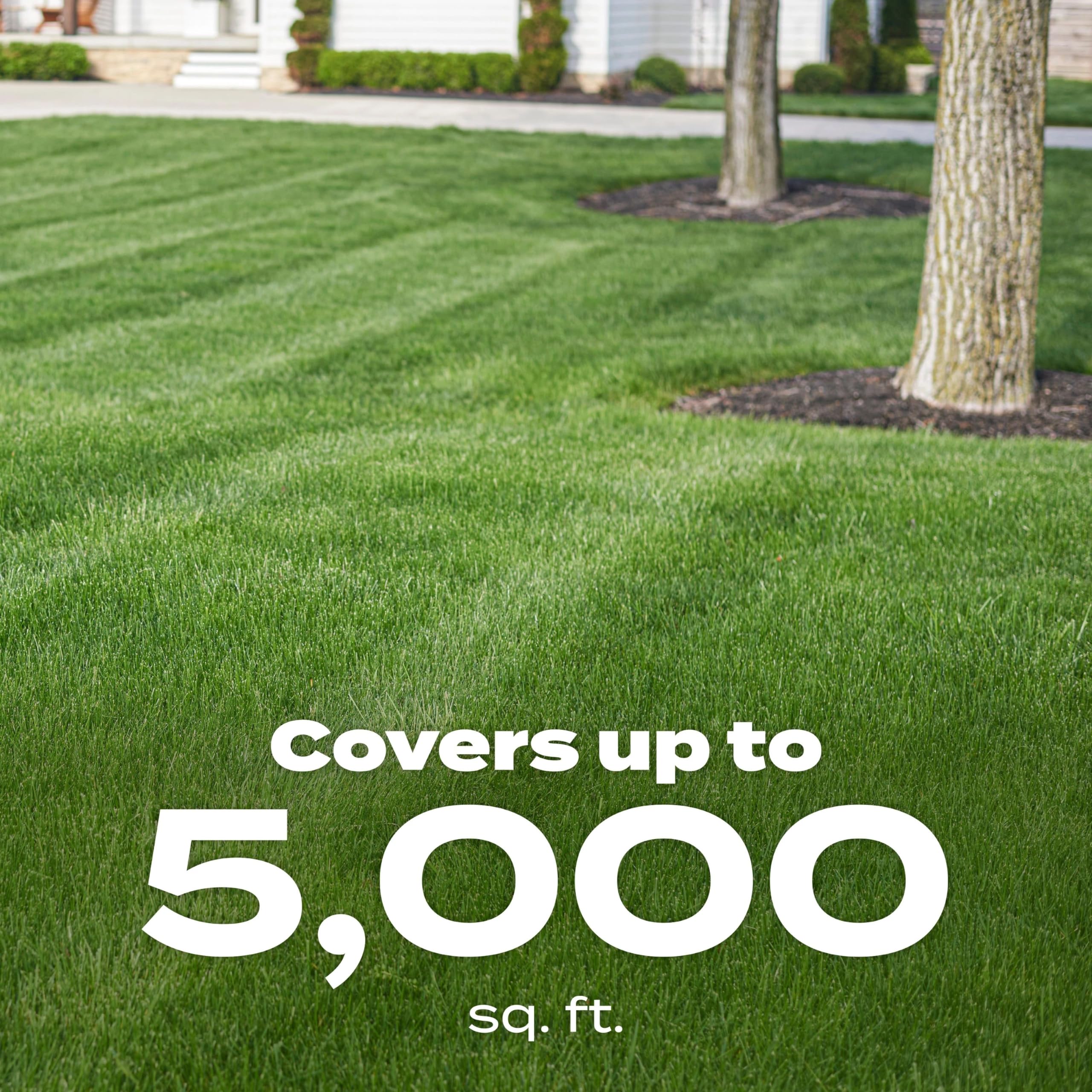 Before and after lawn area with Scotts showing deeper green result