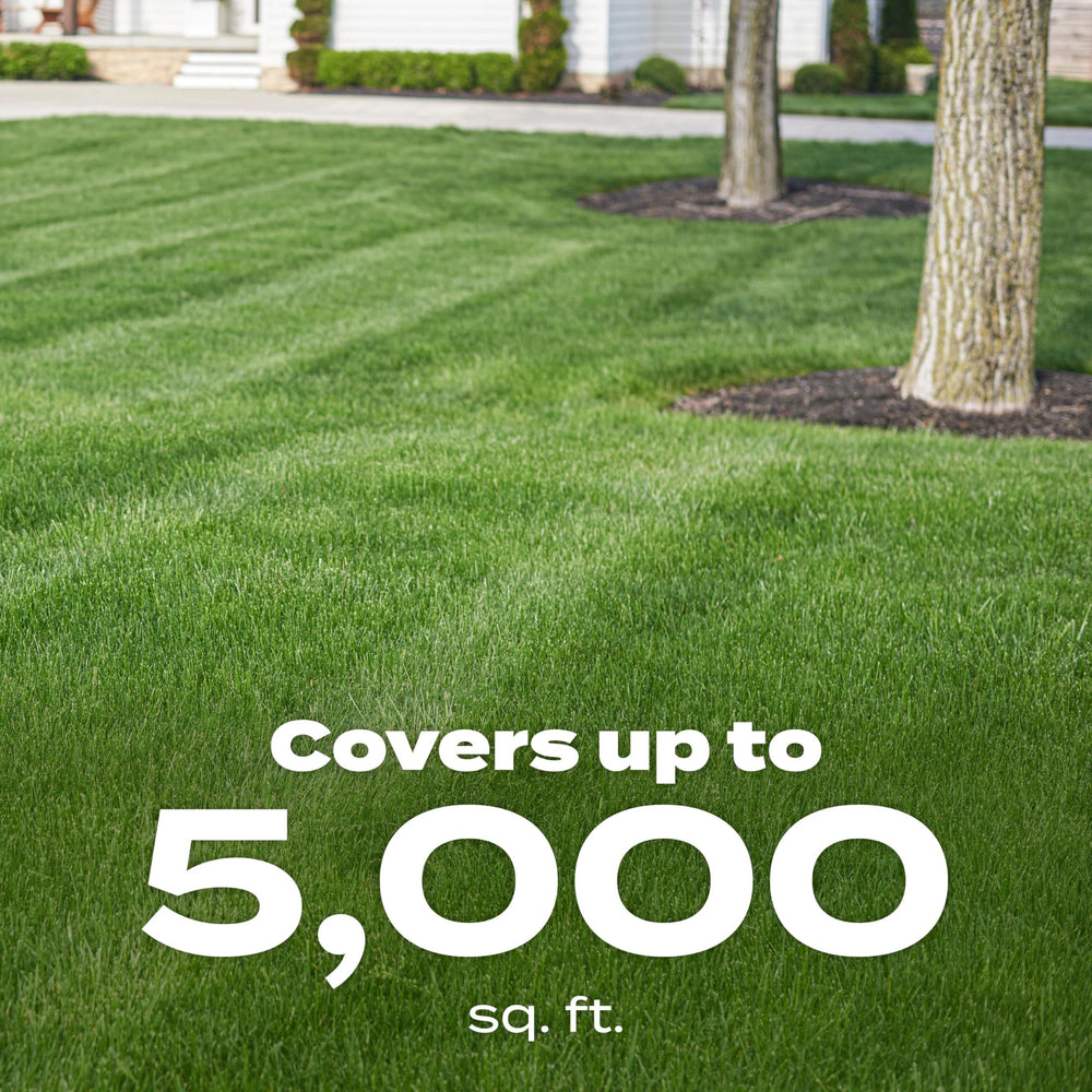Before and after lawn area with Scotts showing deeper green result