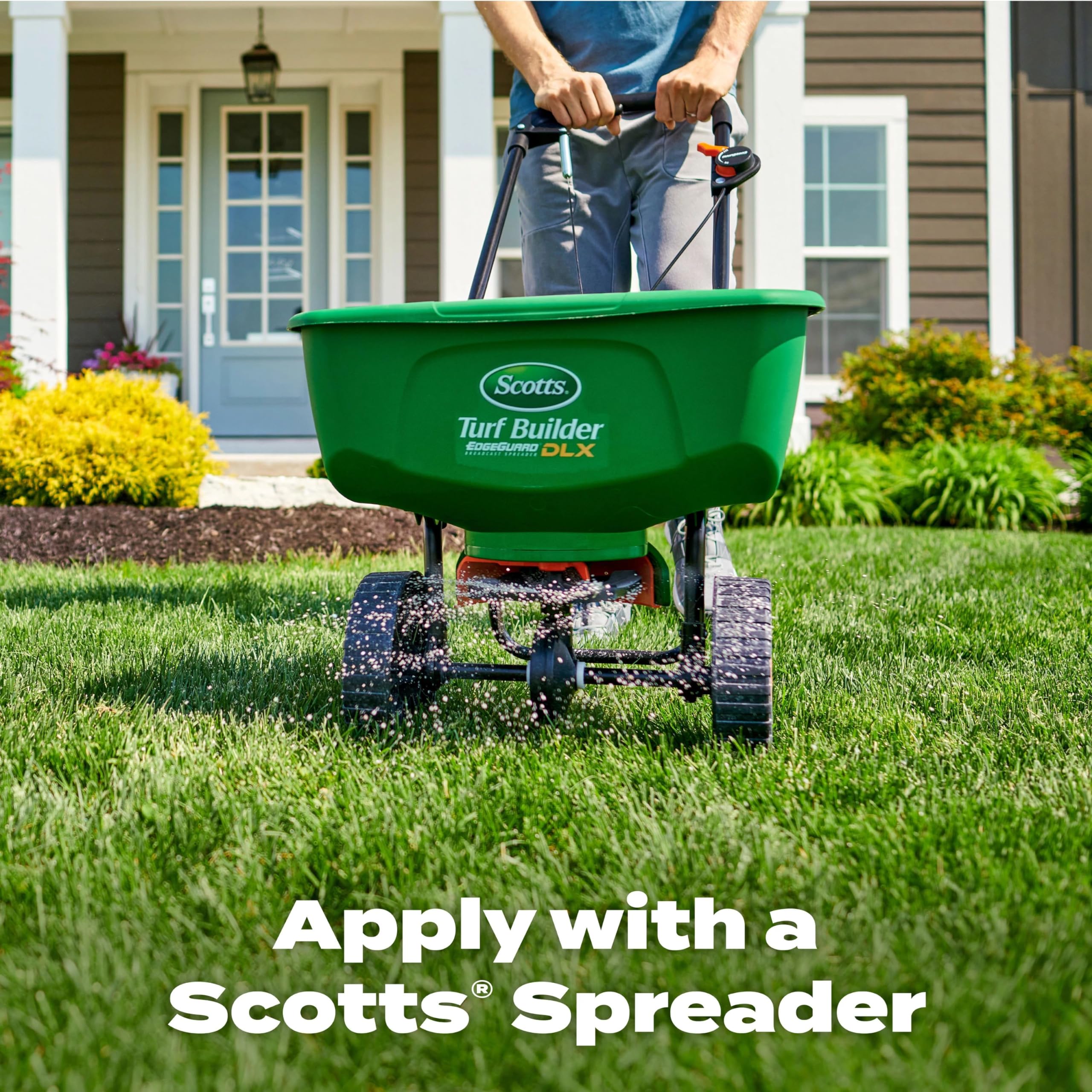 Light watering after application with Scotts showing activation benefit