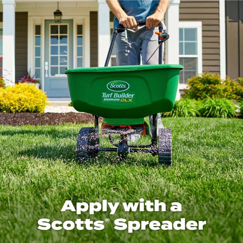 Light watering after application with Scotts showing activation benefit