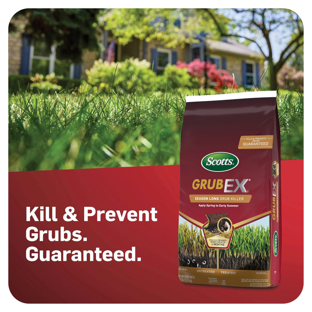 Close-up of Scotts GrubEX1 granules highlighting consistent texture and spreadability