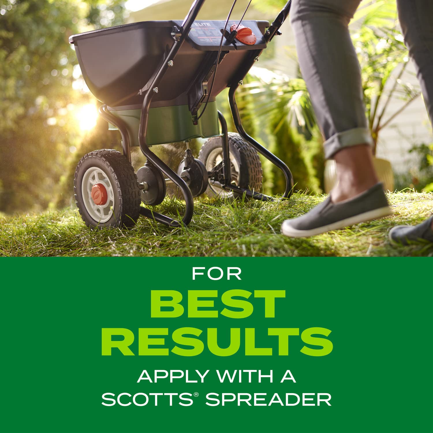 Scotts césped Bermudagrass verde y denso tras establecimiento
