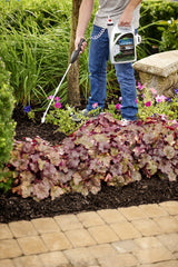 Scotts before and after bed shot showing restored brown mulch for enhanced curb appeal