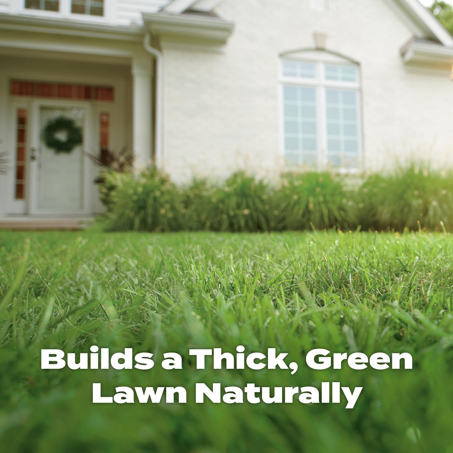 Scotts natural lawn food being applied with a spreader showing quick coverage benefit