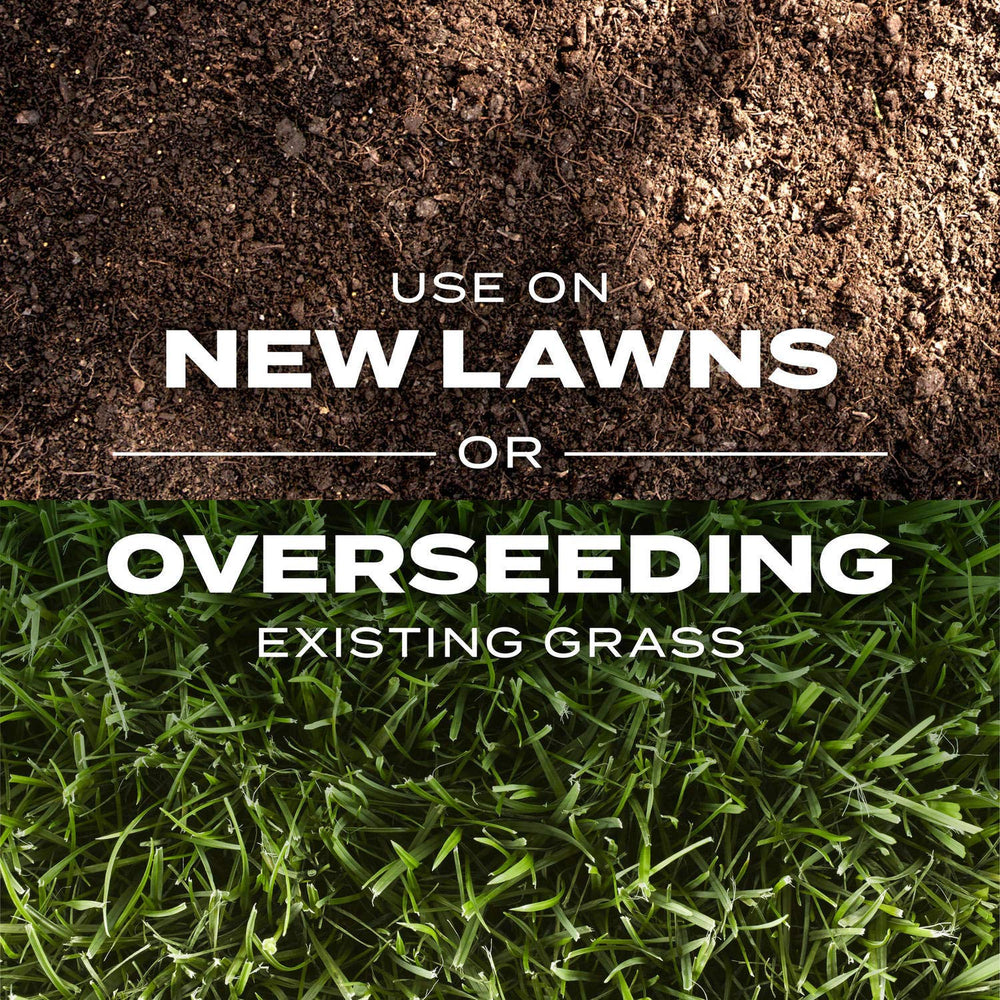Scotts overseeding on existing lawn highlighting thicker turf restoration