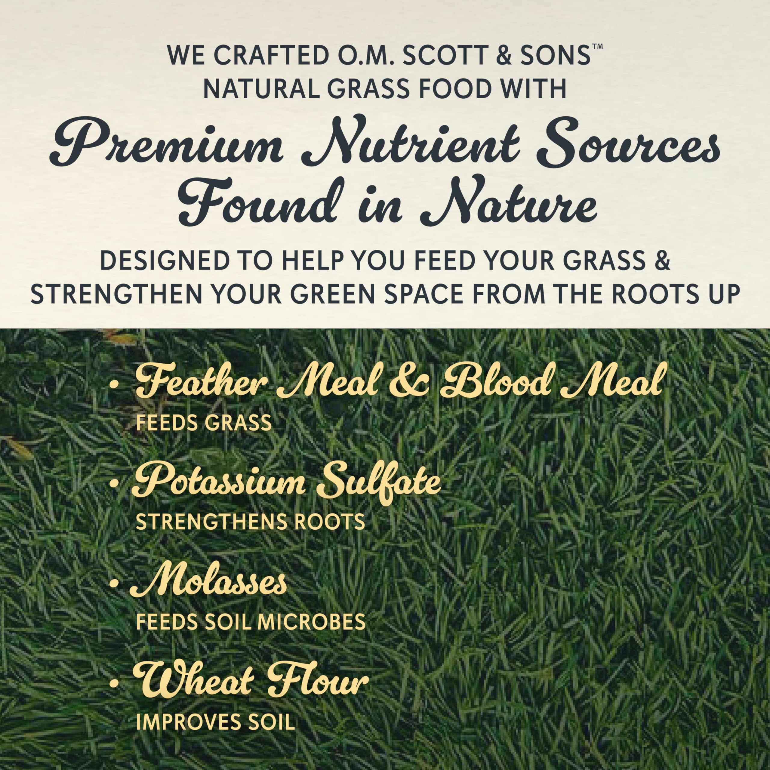 Scotts family on lawn showing pet-and-kid-friendly feeding reassurance