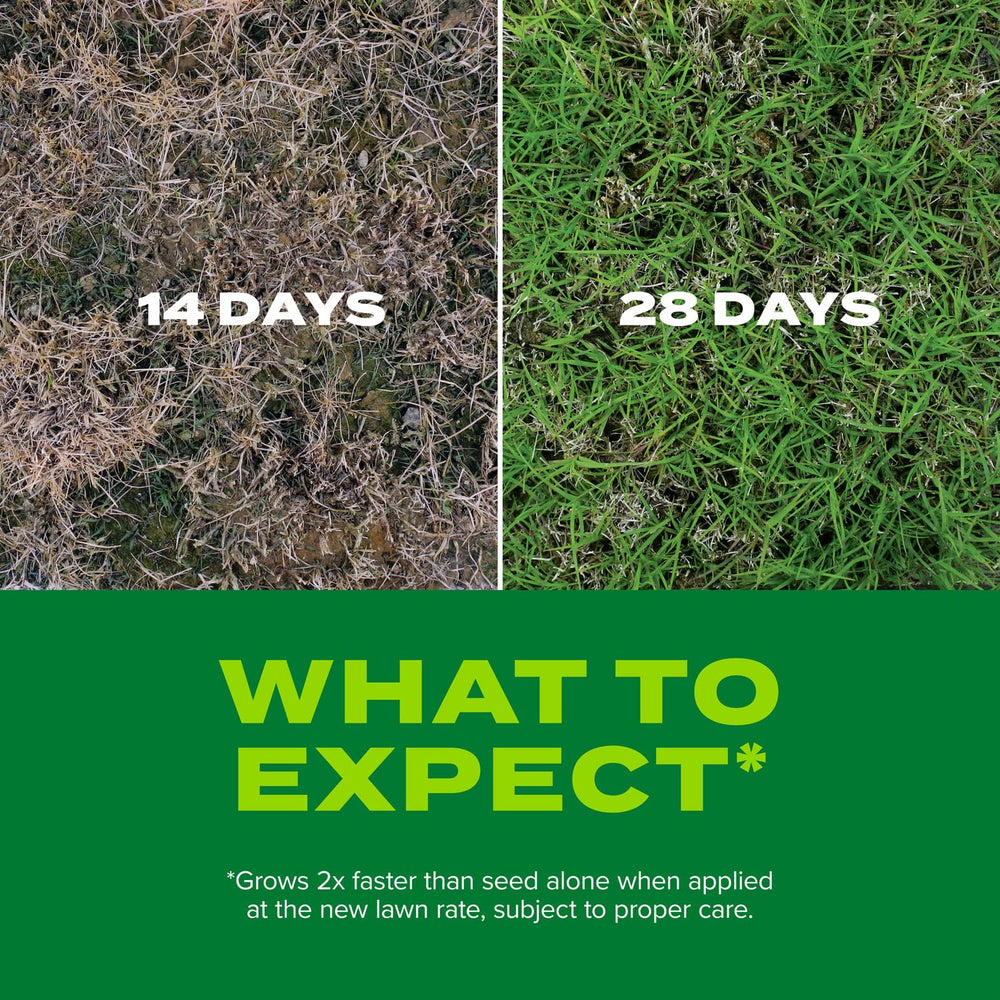 Scotts example new lawn coverage patch demonstrating thicker bermudagrass result