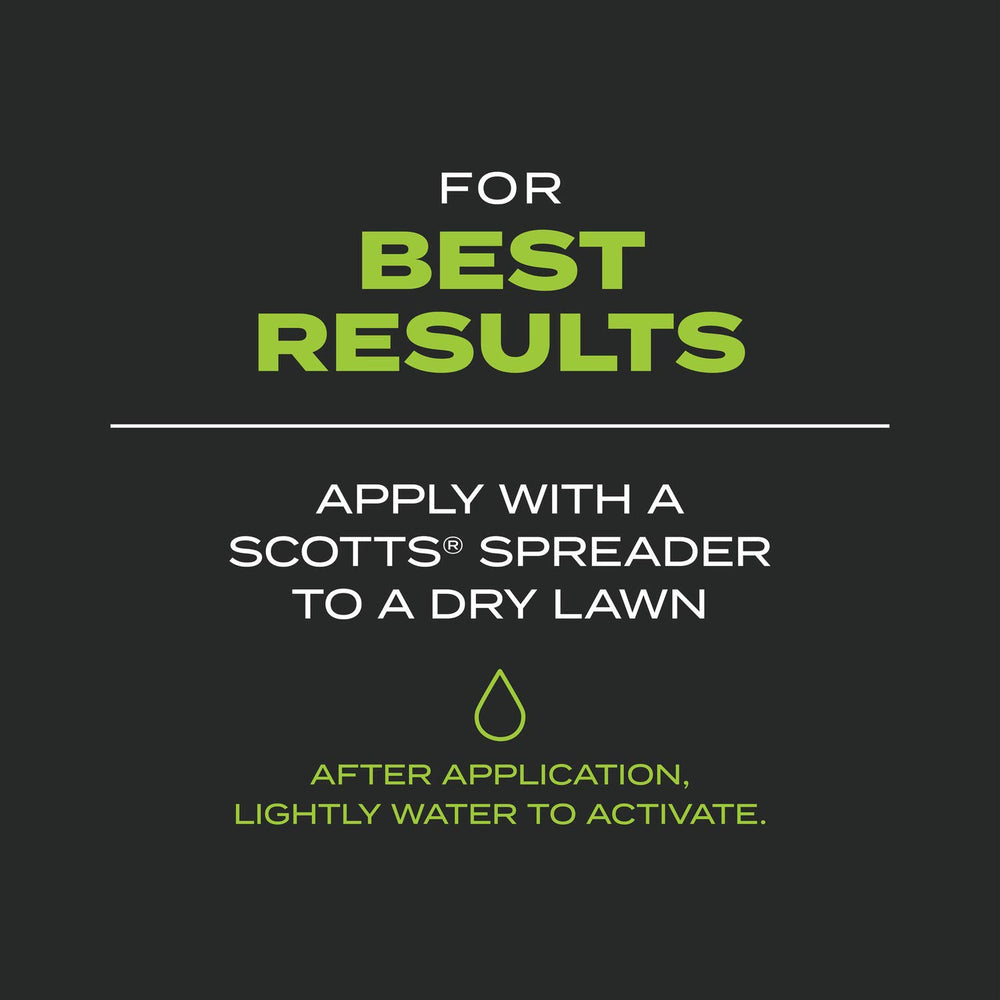 New grass seedlings after treatment showing faster establishment benefit