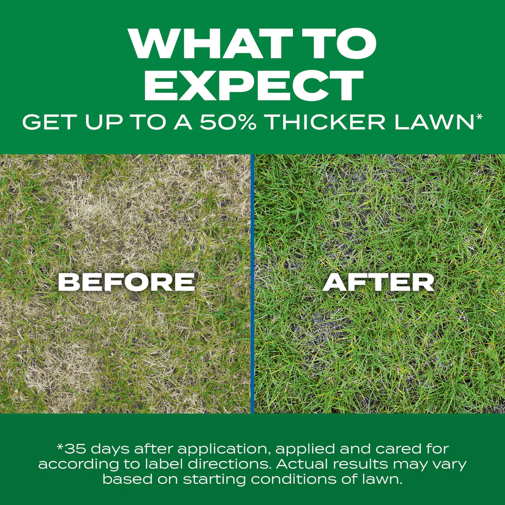 Side-by-side before and after lawn improved with Scotts Thick'R Lawn