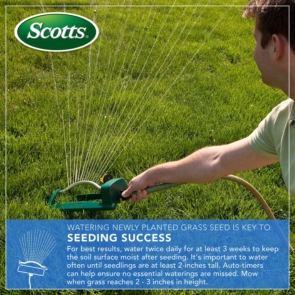 Scotts Thick'R Lawn close-up of seed and fertilizer mix for quick establishment