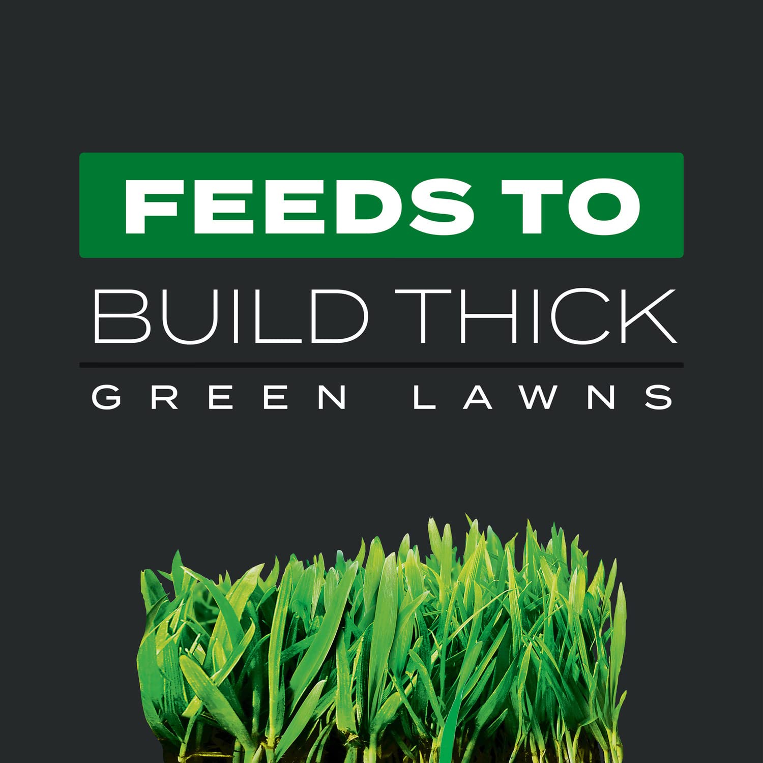 Scotts before and after lawn shot demonstrating thicker greener turf