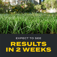 Before and after lawn with Scotts Triple Action showing thicker turf