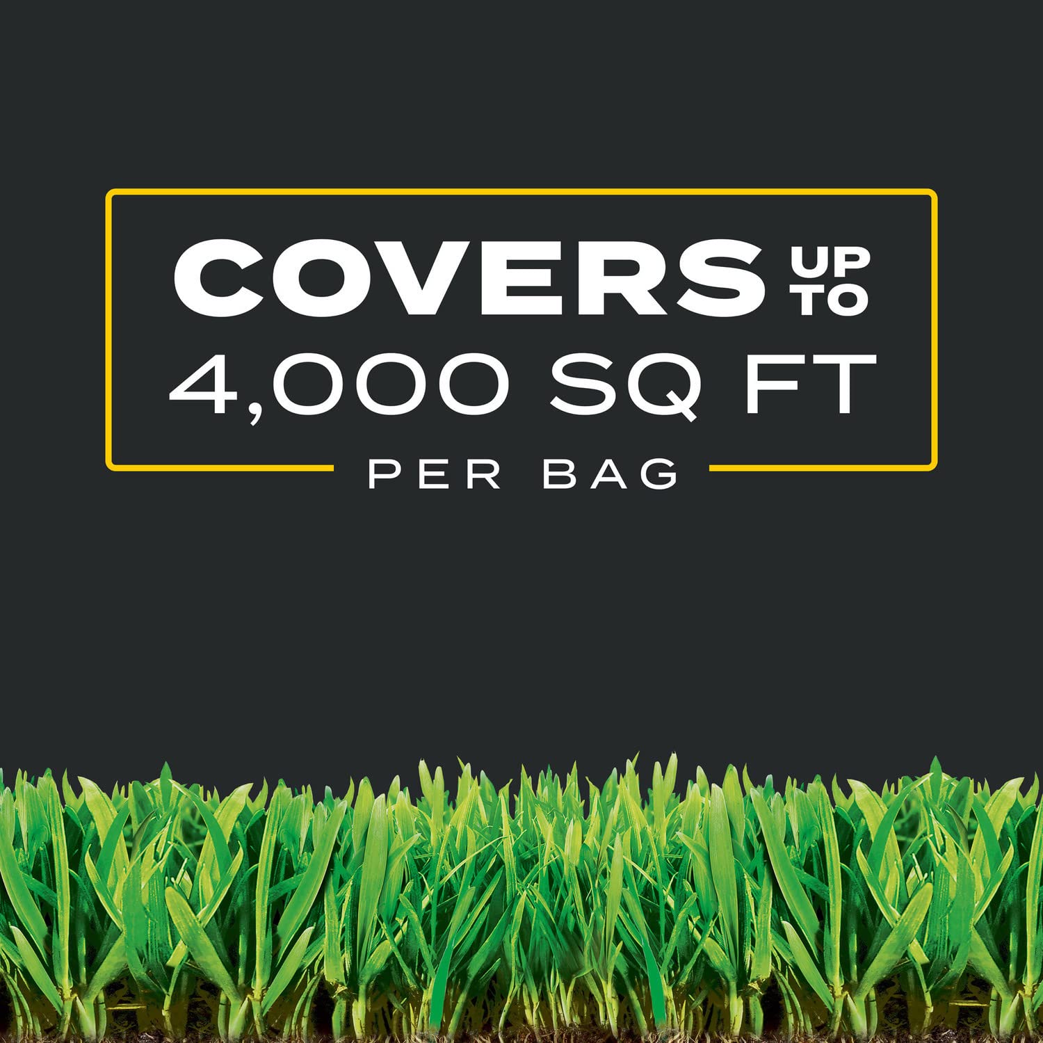 Scotts two 11.31 lb bags stacked to show the 2-pack value