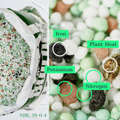 Close-up of Scotts Turf Builder granules revealing texture for even distribution benefit
