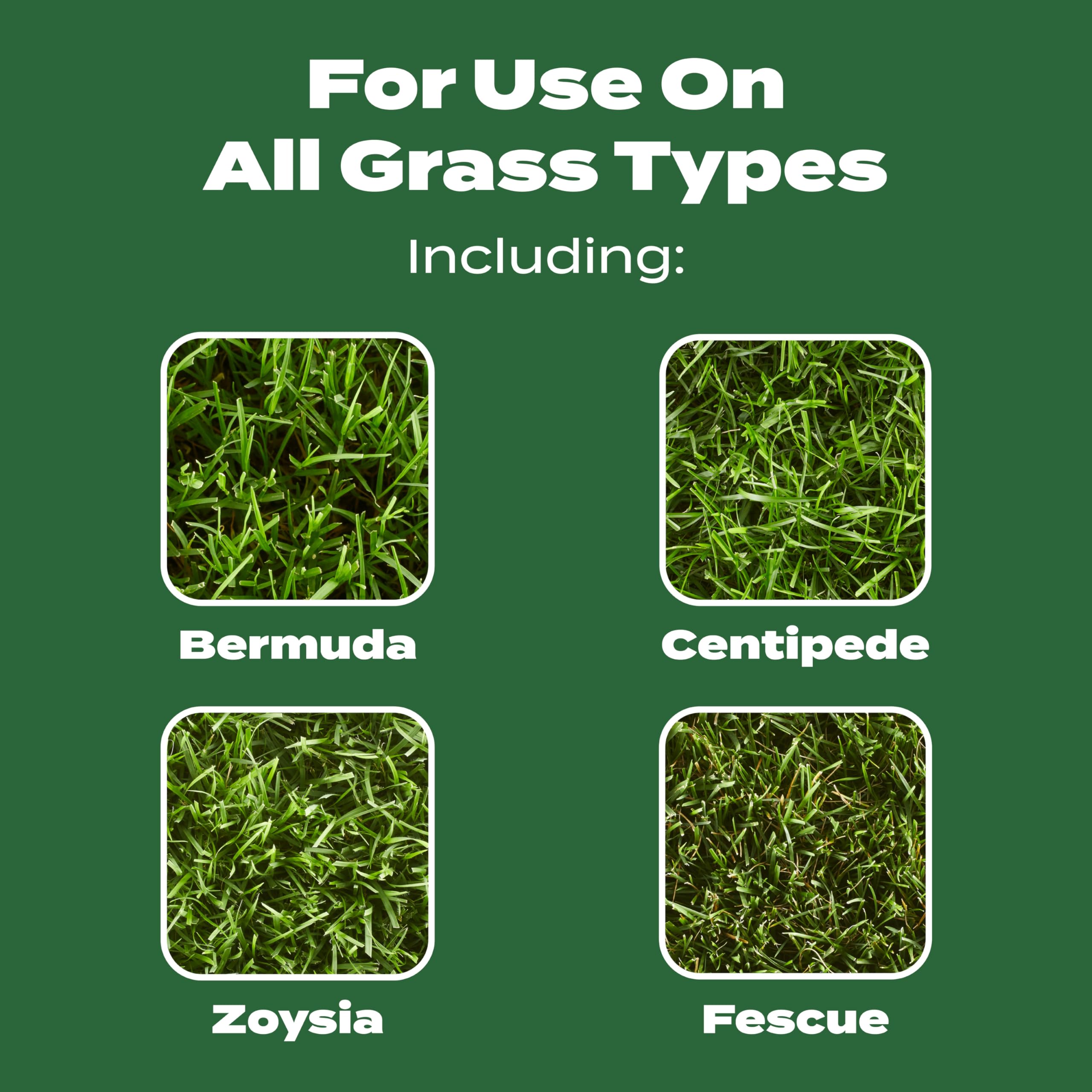 Texture of Scotts granules demonstrating easy spread and nutrient delivery