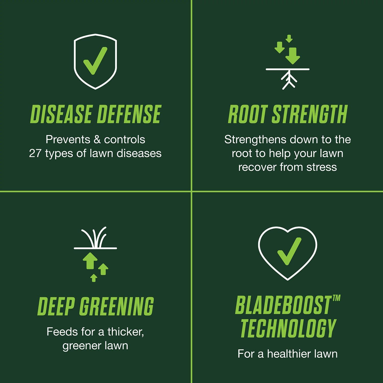 Scotts label close-up highlighting disease coverage and instructions