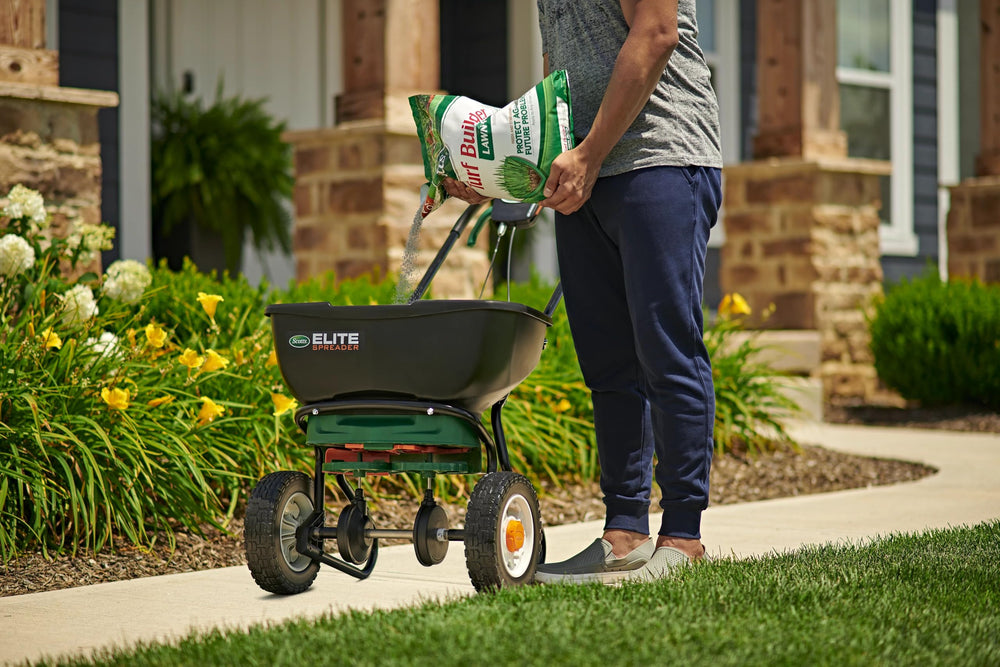 Home lawn treated with Scotts in landscaped setting showing visual improvement