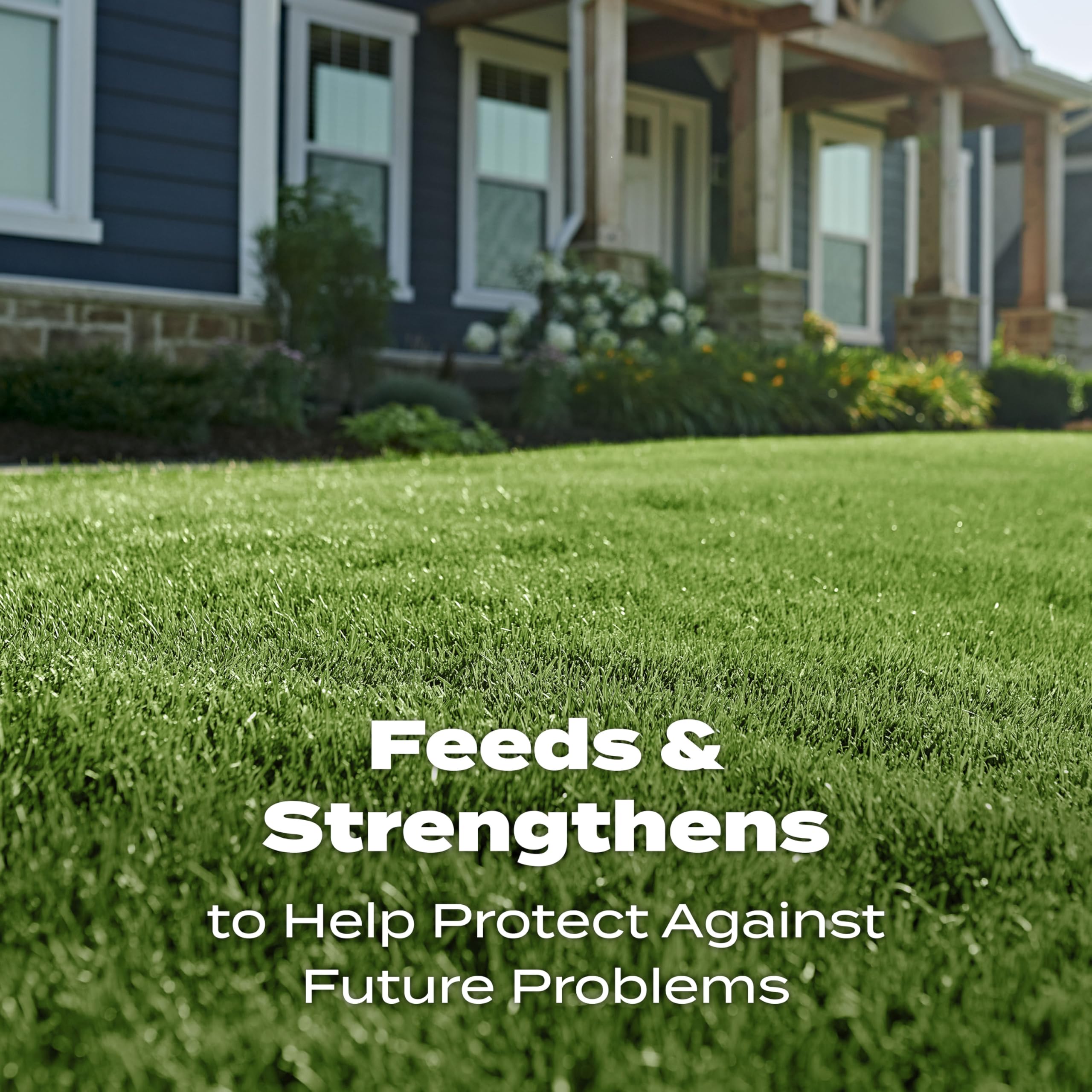 Side-by-side lawn using Scotts showing greener, thicker grass