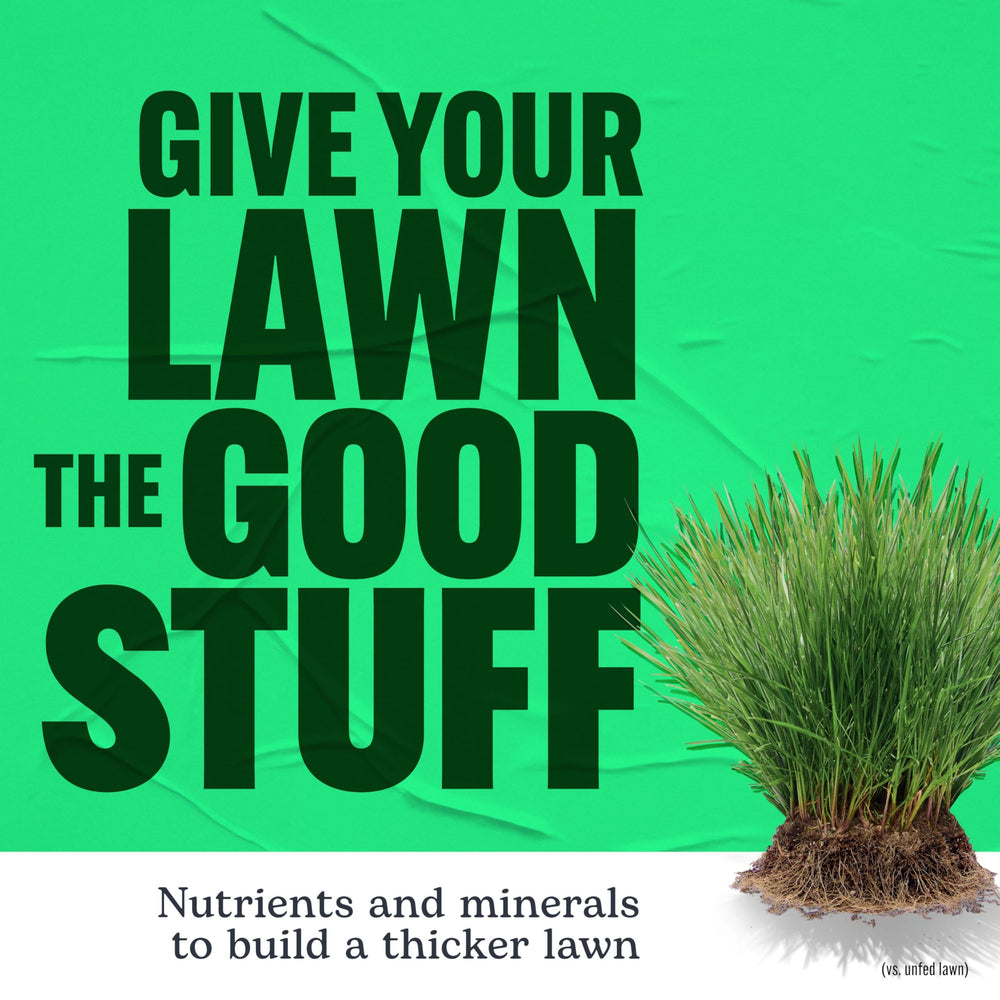 Watering lawn after Scotts application to activate nutrients quickly