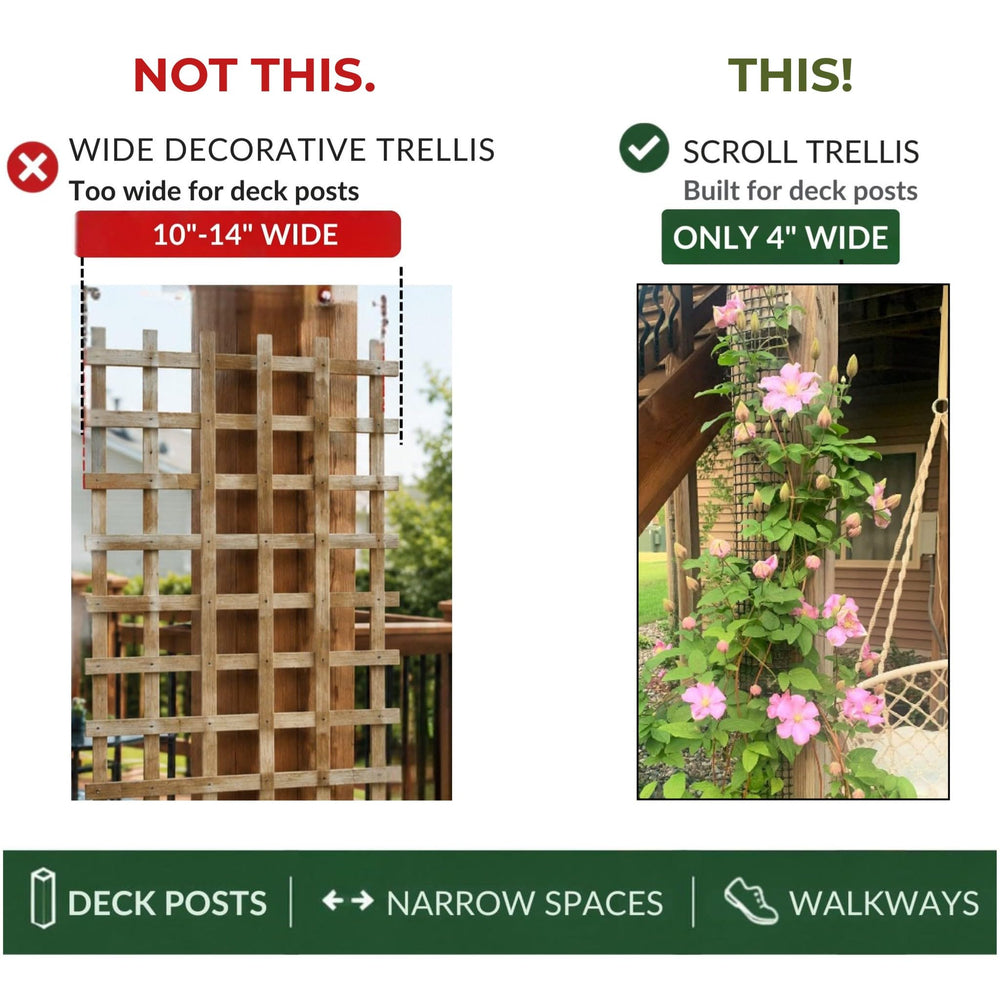 Scroll Trellis with clematis climbing showing improved vertical coverage