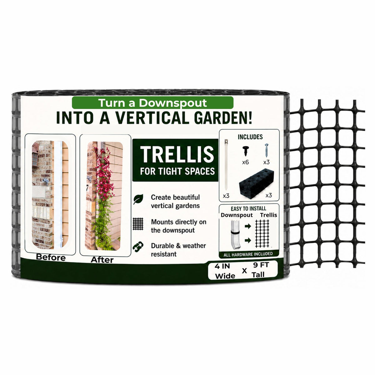 Scroll Trellis front view mounted on downspout showing neat vertical garden benefit