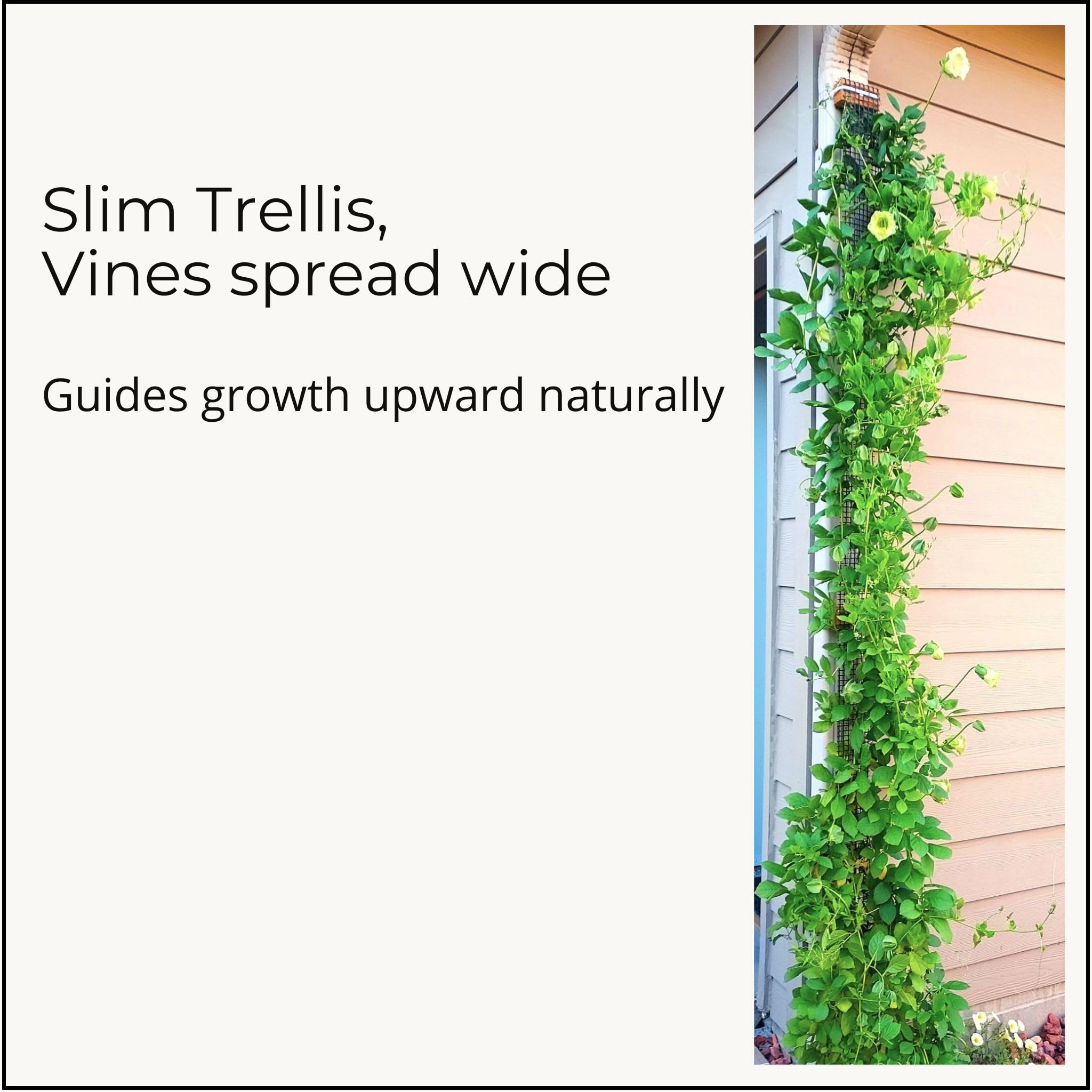 Scroll Trellis scale comparison with hand showing lightweight easy-handling benefit