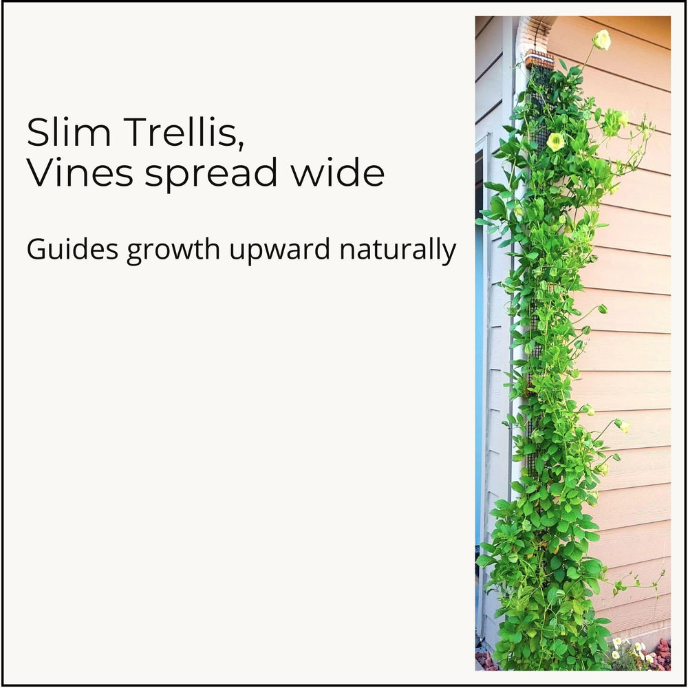 Scroll Trellis scale comparison with hand showing lightweight easy-handling benefit
