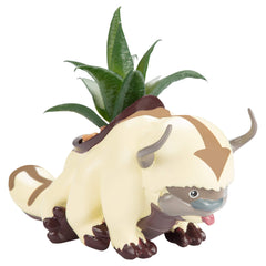SCS Direct Appa planter front view showing character shape and decorative appeal