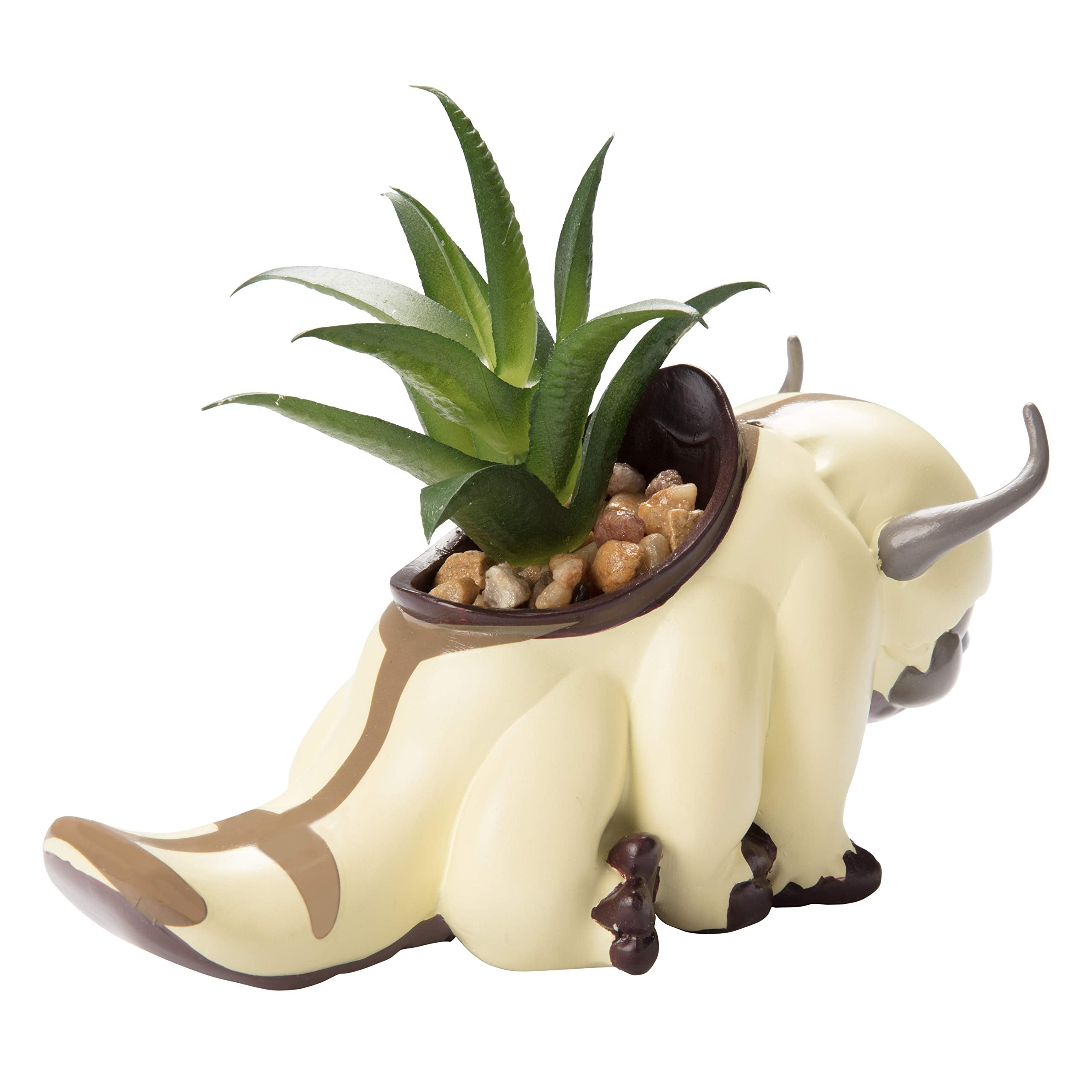 SCS Direct Appa planter holding a succulent, showing plant display benefit