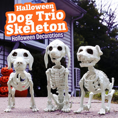 SCS Direct close-up of skull showcasing sculpted details for convincing spooky decor