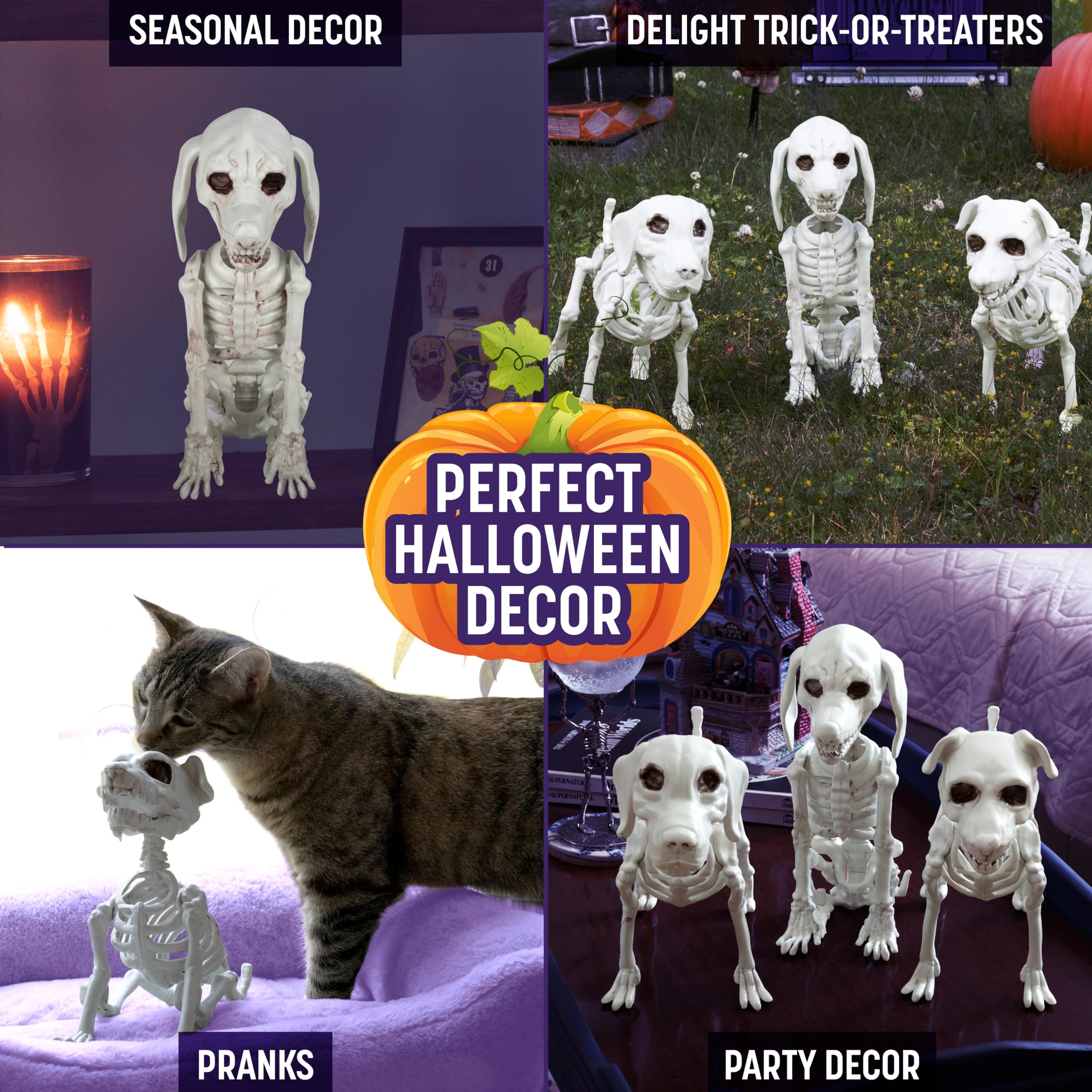 SCS Direct trio of skeletons staged in yard creating reusable outdoor atmosphere