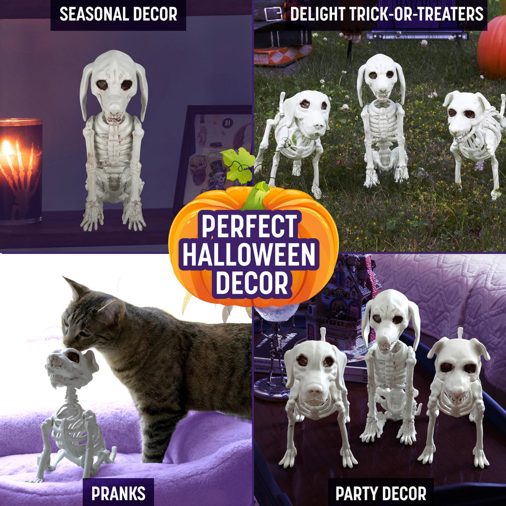 SCS Direct trio of skeletons staged in yard creating reusable outdoor atmosphere