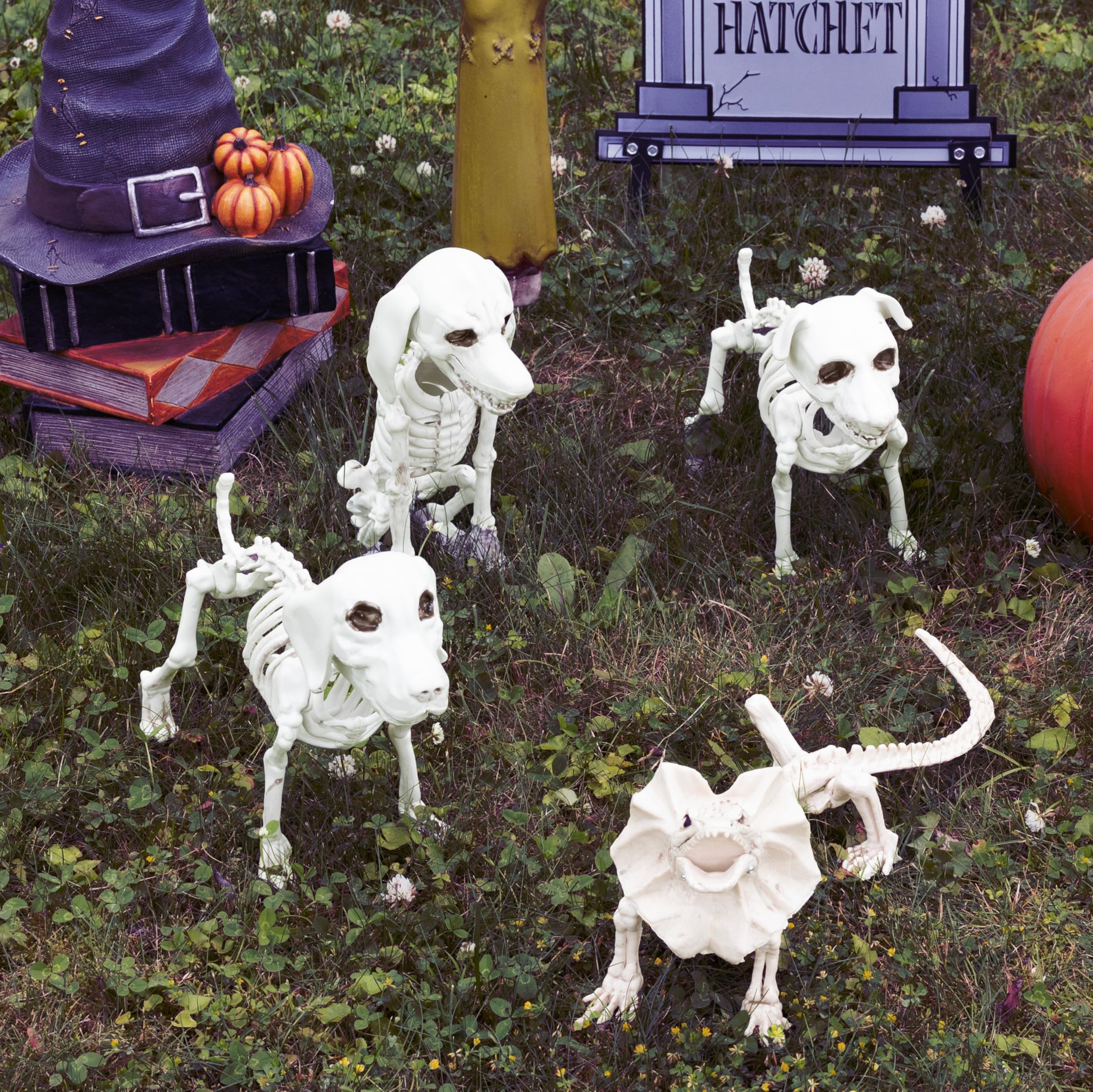 SCS Direct packaged skeletons demonstrating lightweight storage and season-to-season reuse
