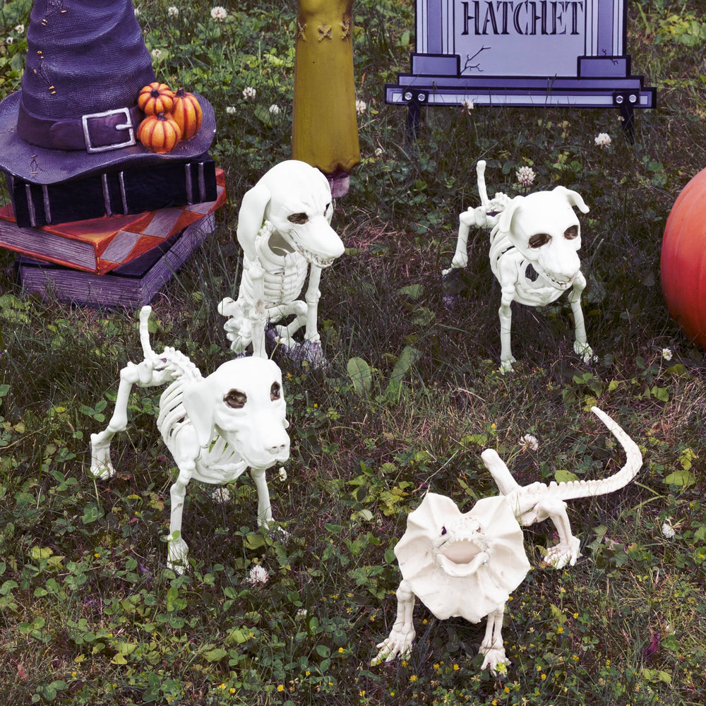 SCS Direct packaged skeletons demonstrating lightweight storage and season-to-season reuse