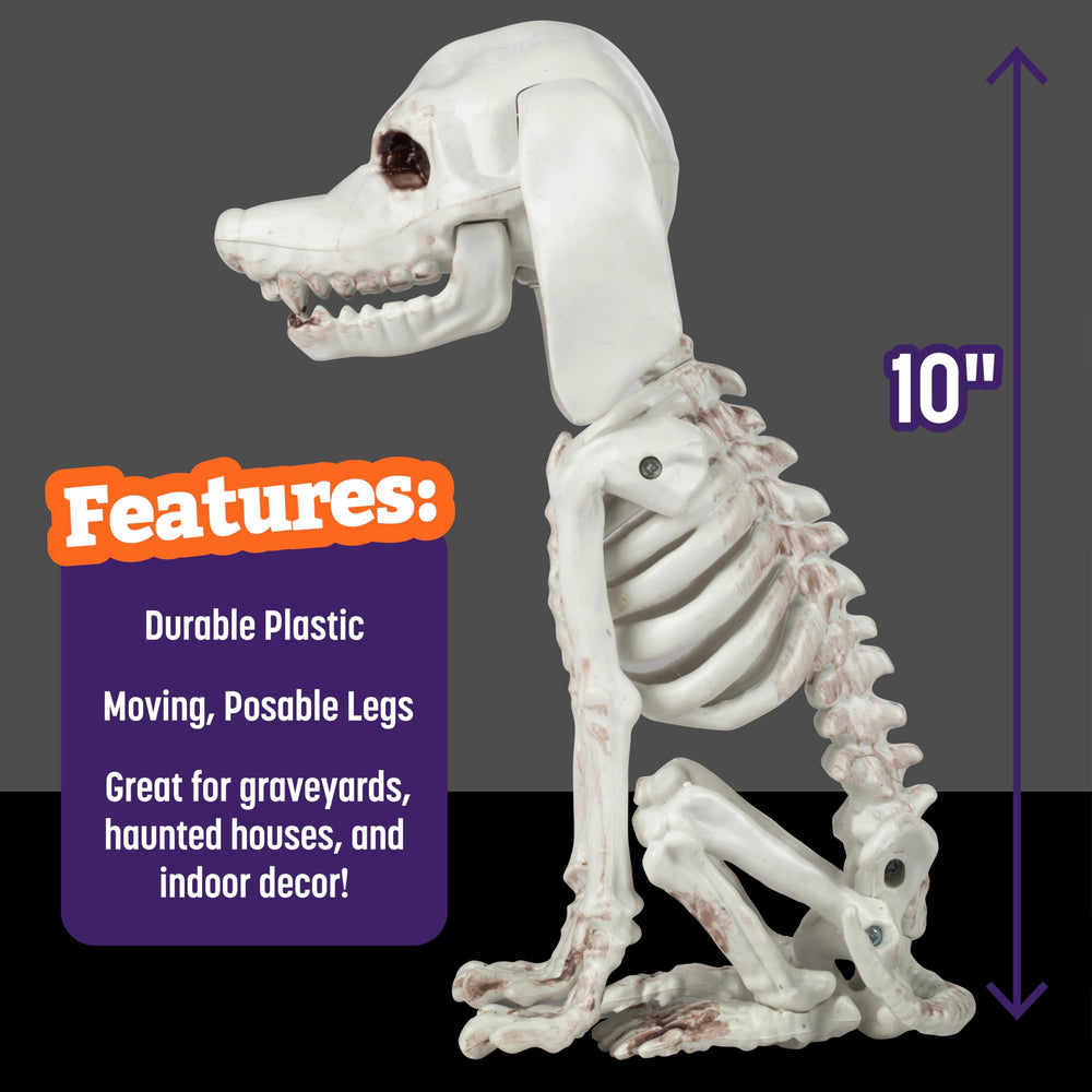SCS Direct skeleton next to tape measure illustrating compact 9.5–10 inch size
